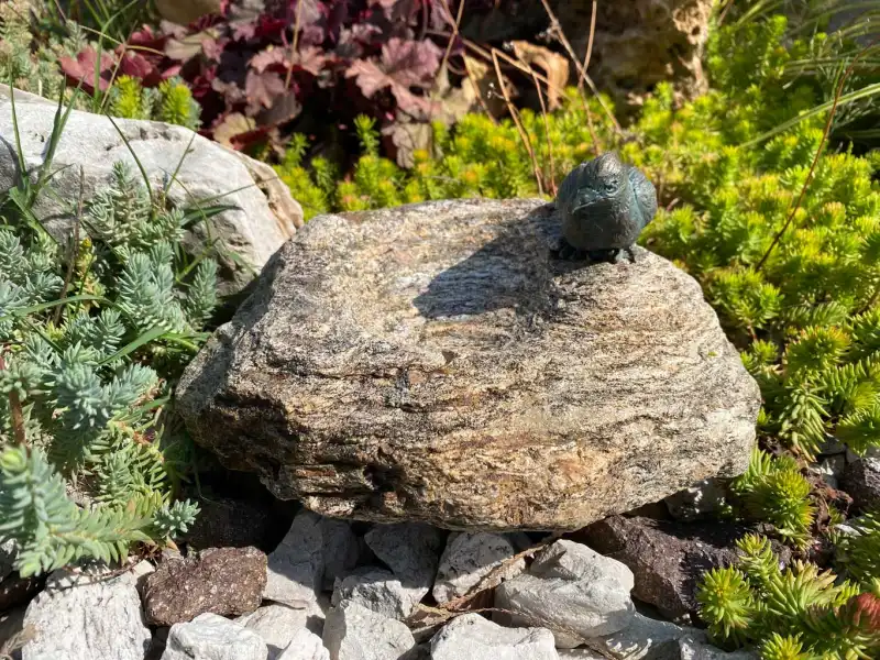 Haustier-Gedenkstein aus Naturstein - Vogeltränke mit Bronzevogel